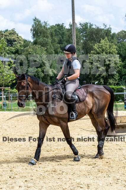 Hunter Geländetraining 10.07.2021 (Sonsbeck)