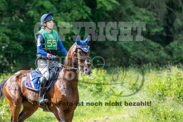 Westerstede Horse Trials (10.-13.06.2021)