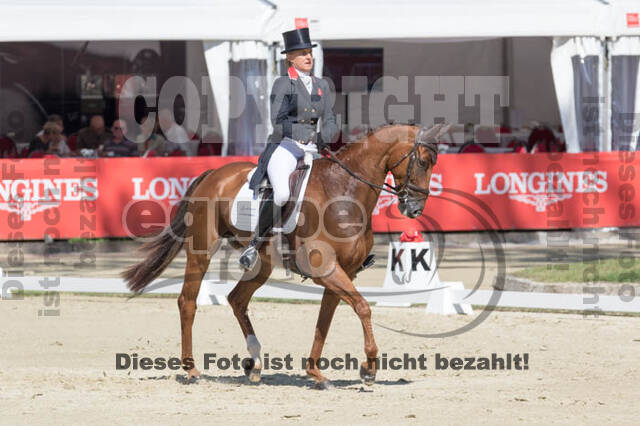 FEI European Championship Eventing 2017