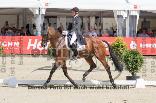 FEI European Championship Eventing 2017