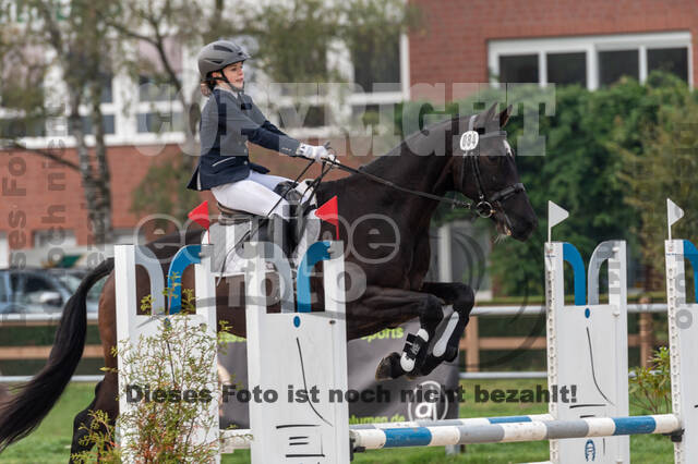 Goldene Schärpe 2020 - Pferde