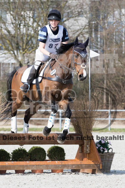 Eventing Langenfeld 2018
