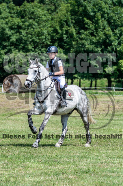 Goldene Schärpe 2021 - Ponys