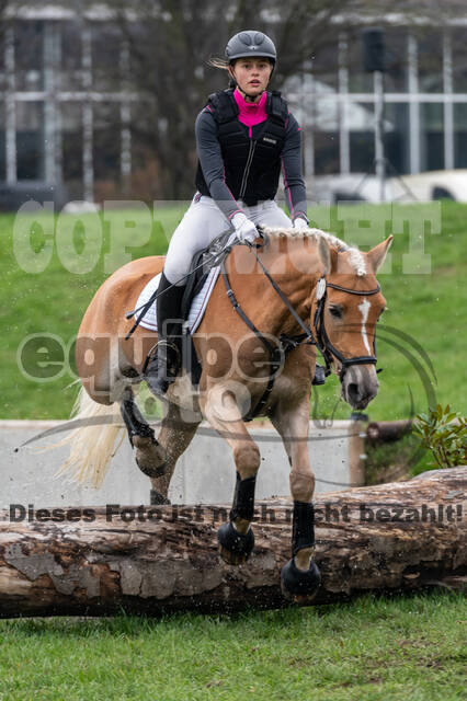 Goldene Schärpe 2020 - Pferde