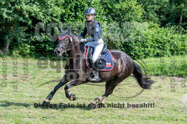 Goldene Schärpe 2021 - Ponys