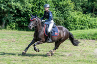 Goldene Schärpe 2021 - Ponys
