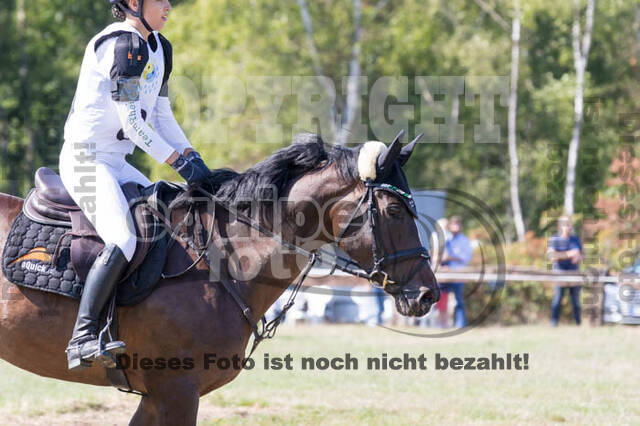 Vielseitigkeitsturnier RSV St. Hubertus Wesel Obrighoven