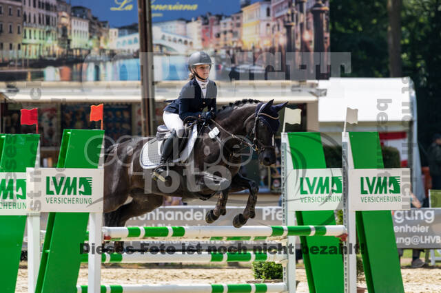 Goldene Schärpe 2021 - Ponys