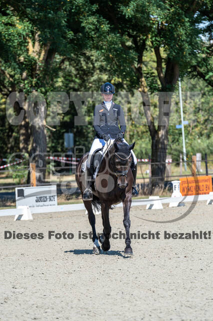 Kronenberg - De Peelbergen (August 2020)