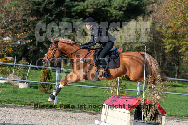IGV Lehrgang der Sieger der Cups mit Frank Ostholt