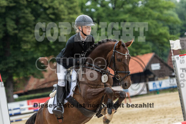 Goldene Schärpe 2021 - Ponys