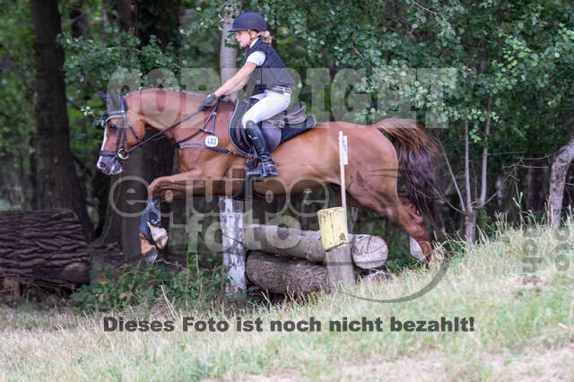 Late-Entry Vielseitigkeit Hamminkeln/Wesel (01.+02.08.2020)
