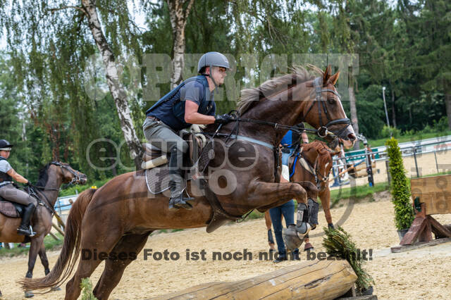 Hunter Geländetraining 10.07.2021 (Sonsbeck)
