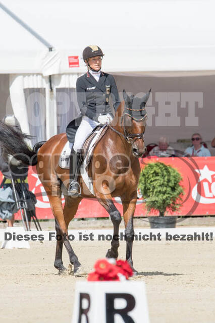 FEI European Championship Eventing 2017