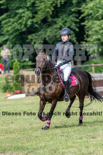 Goldene Schärpe 2021 - Ponys