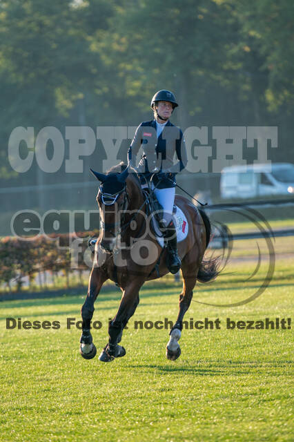 De Peelbergen (August 2020)