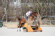 Eventing Langenfeld 2018