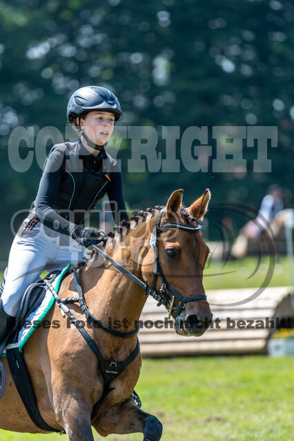 Goldene Schärpe 2021 - Ponys