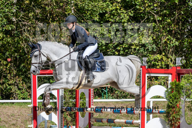 RFV Dinslaken-Hiesfeld (Herbstturnier)