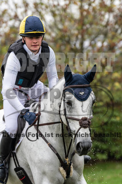 Goldene Schärpe 2020 - Pferde