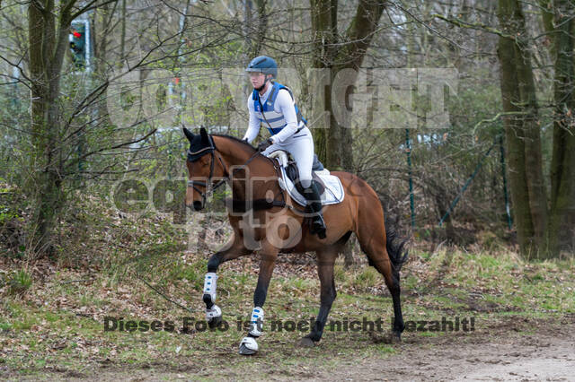 Eventing im Pferdesportzentrum Rheinland (Late Entry 14.03.2022)