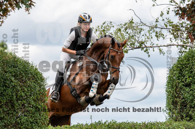 Bonn-Rodderberg Late-Entry-Vielseitigkeit (30.06.2020)