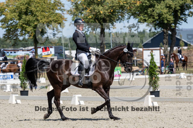 Kronenberg - De Peelbergen (August 2020)