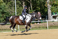 RFV Dinslaken-Hiesfeld (Herbstturnier)
