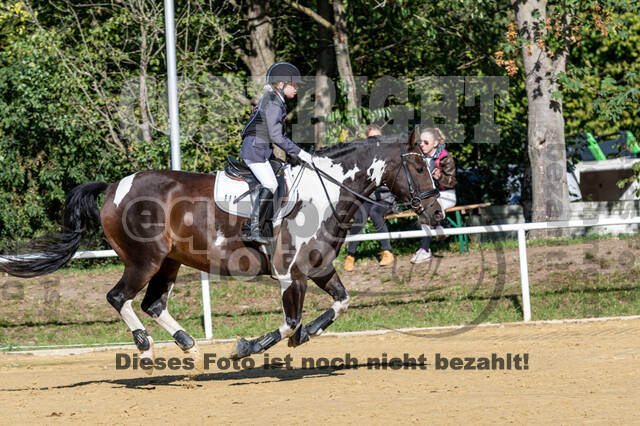 RFV Dinslaken-Hiesfeld (Herbstturnier)