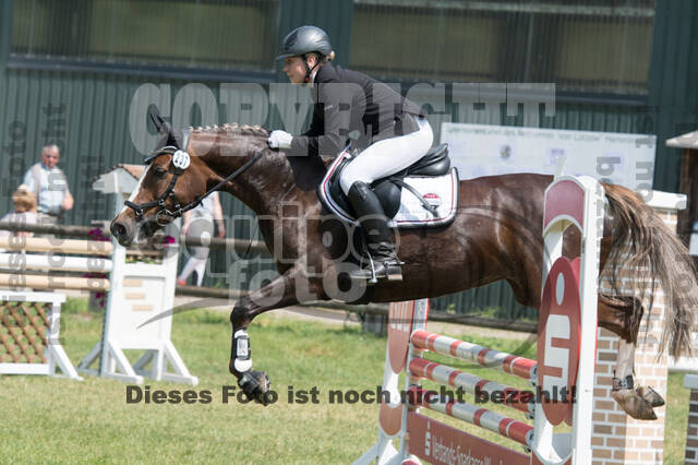 Vielseitigkeitsturnier ZRuFV von Lützow Hamminkeln