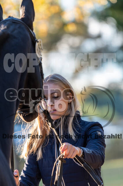 Deutsche Meisterschaft Vielseitigkeit (Luhmühlen)