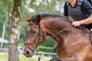 Hunter Geländetraining 10.07.2021 (Sonsbeck)