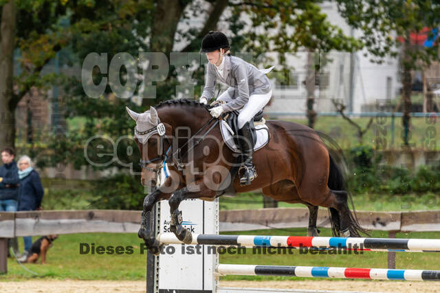 Vielseitigkeit RSV Wesel Obrighoven (26.+27.09.2020)