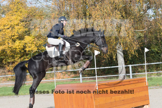 IGV Lehrgang der Sieger der Cups mit Frank Ostholt