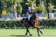 Kronenberg - De Peelbergen (August 2020)