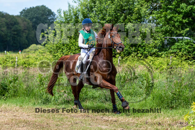 Westerstede Horse Trials (10.-13.06.2021)