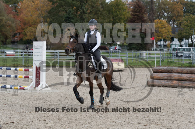 IGV Lehrgang der Sieger der Cups mit Frank Ostholt