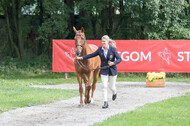 FEI European Championship Eventing 2017
