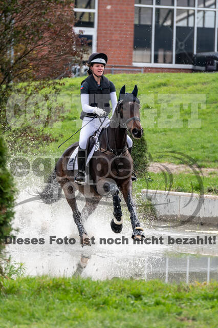 Goldene Schärpe 2020 - Pferde