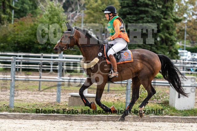 Landesturnier Rheinland, Vielseitigkeit, 22.+23.08.2020