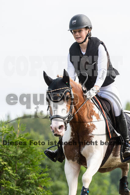 Goldene Schärpe 2021 - Ponys