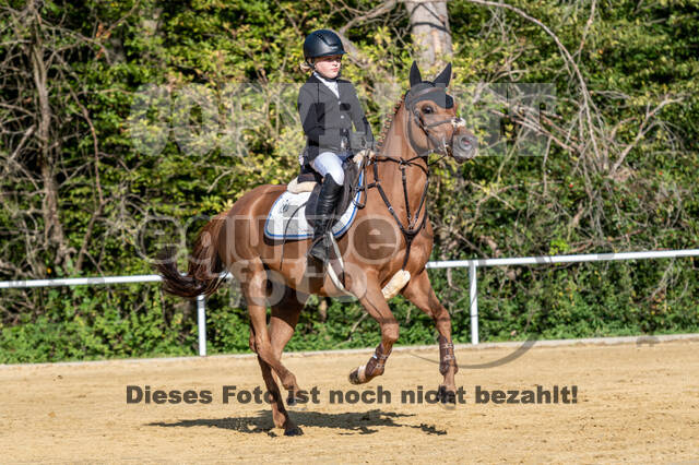 RFV Dinslaken-Hiesfeld (Herbstturnier)