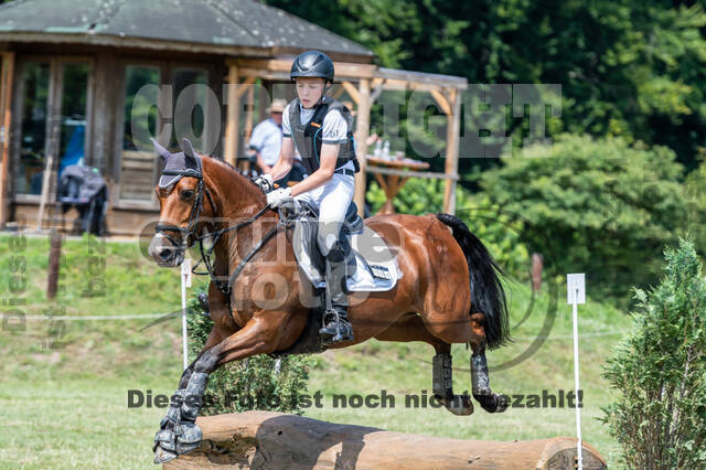 Goldene Schärpe 2021 - Ponys
