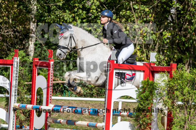 RFV Dinslaken-Hiesfeld (Herbstturnier)