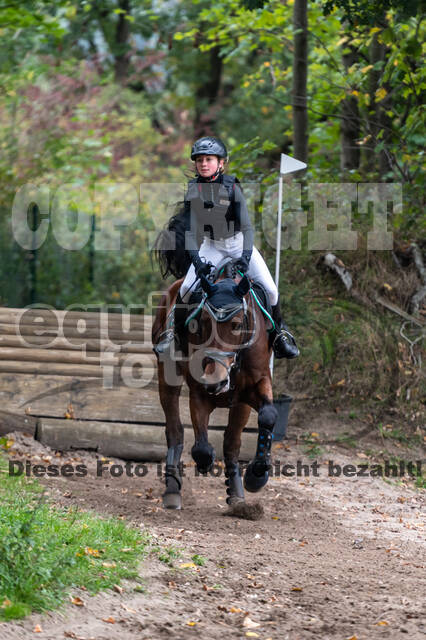 Goldene Schärpe 2020 - Pferde