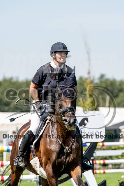 Kronenberg - De Peelbergen (August 2020)