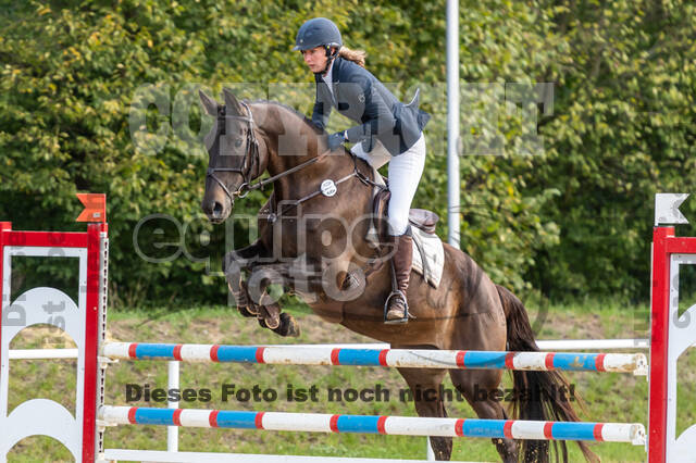 RFV Dinslaken-Hiesfeld (Herbstturnier)