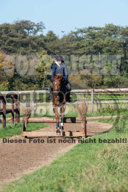 Vielseitigkeitslehrgang mit Jürg Kurbel (9.+10.11.2019)