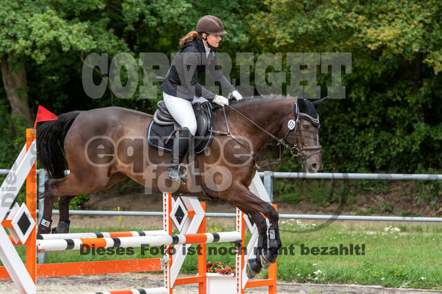 Late-Entry-Vielseitigkeit Langenfeld (06.+07.07.2020)