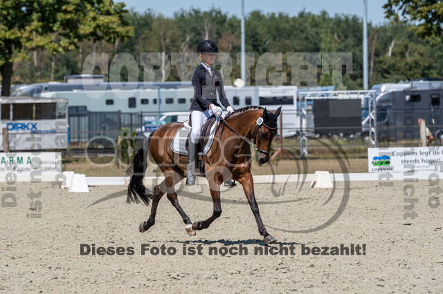 Kronenberg - De Peelbergen (August 2020)